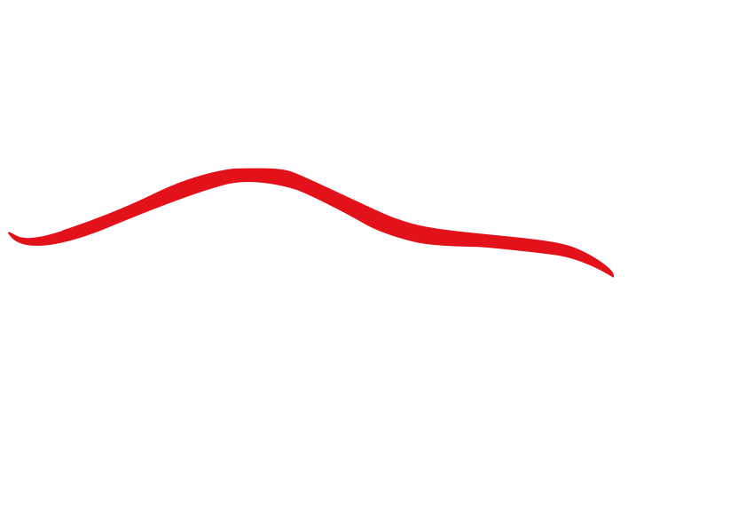 Auto Merello